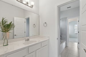 Jack and Jill Bathroom
