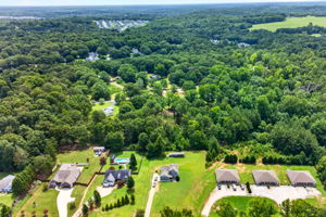  Photo 50
