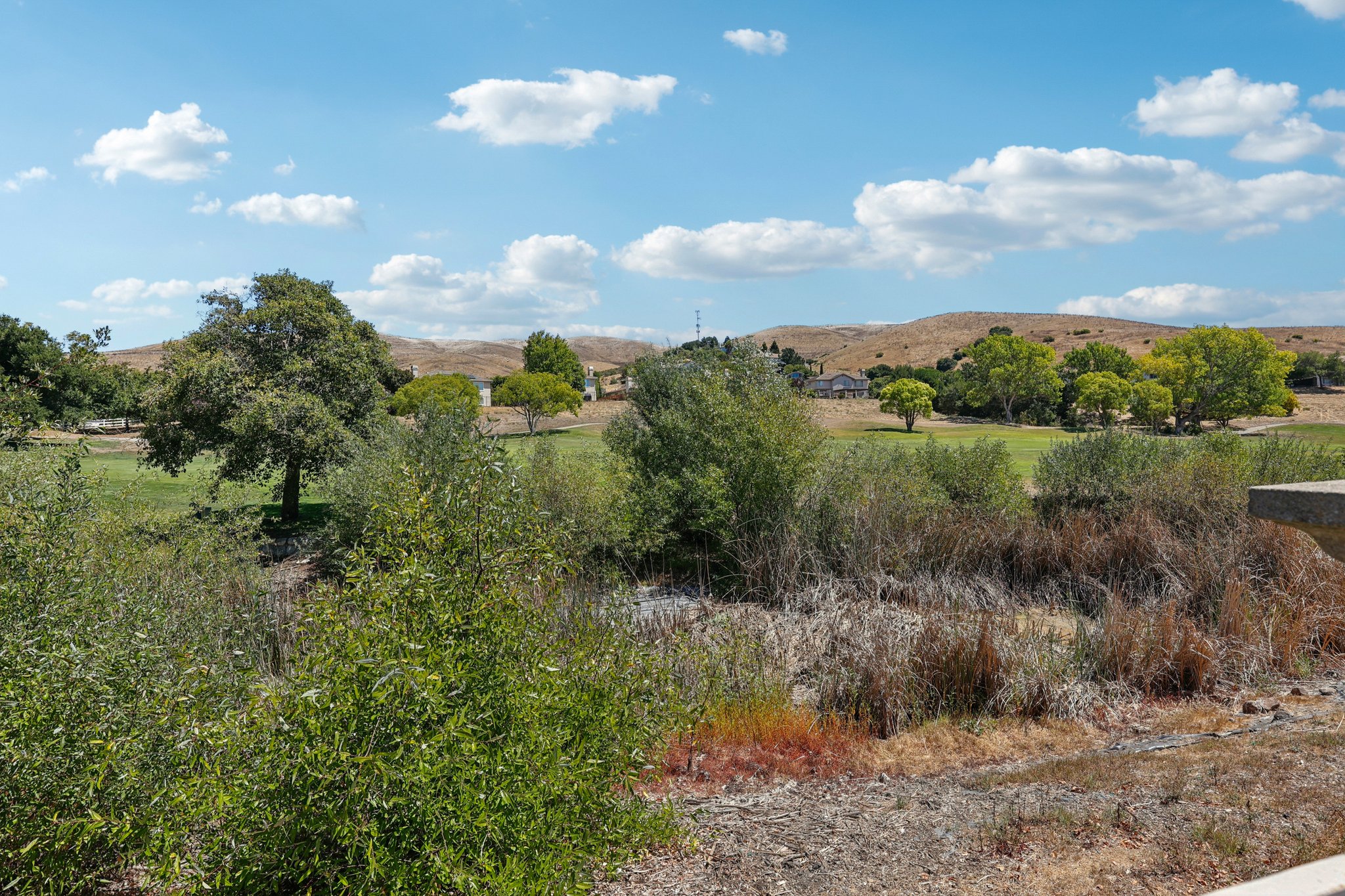 Summer Gate Ave-S2108-049rr.jpg