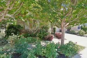 Summer Gate Ave-S2108-002.jpg