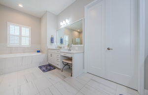 Lower Level Master Bathroom 1a