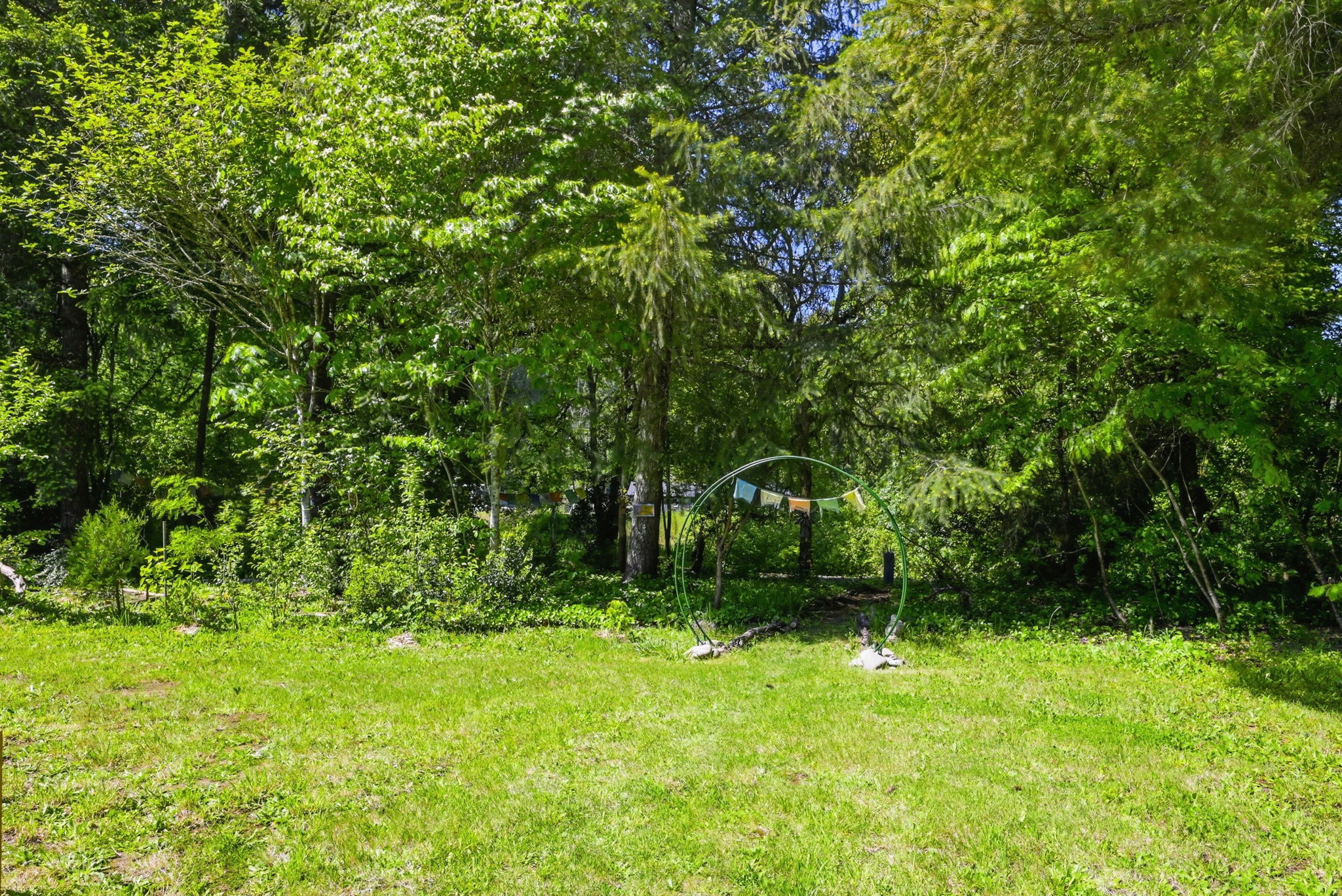  Photo 48