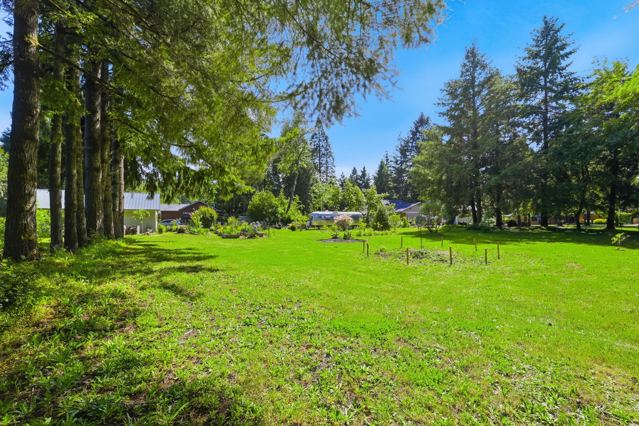  Photo 49