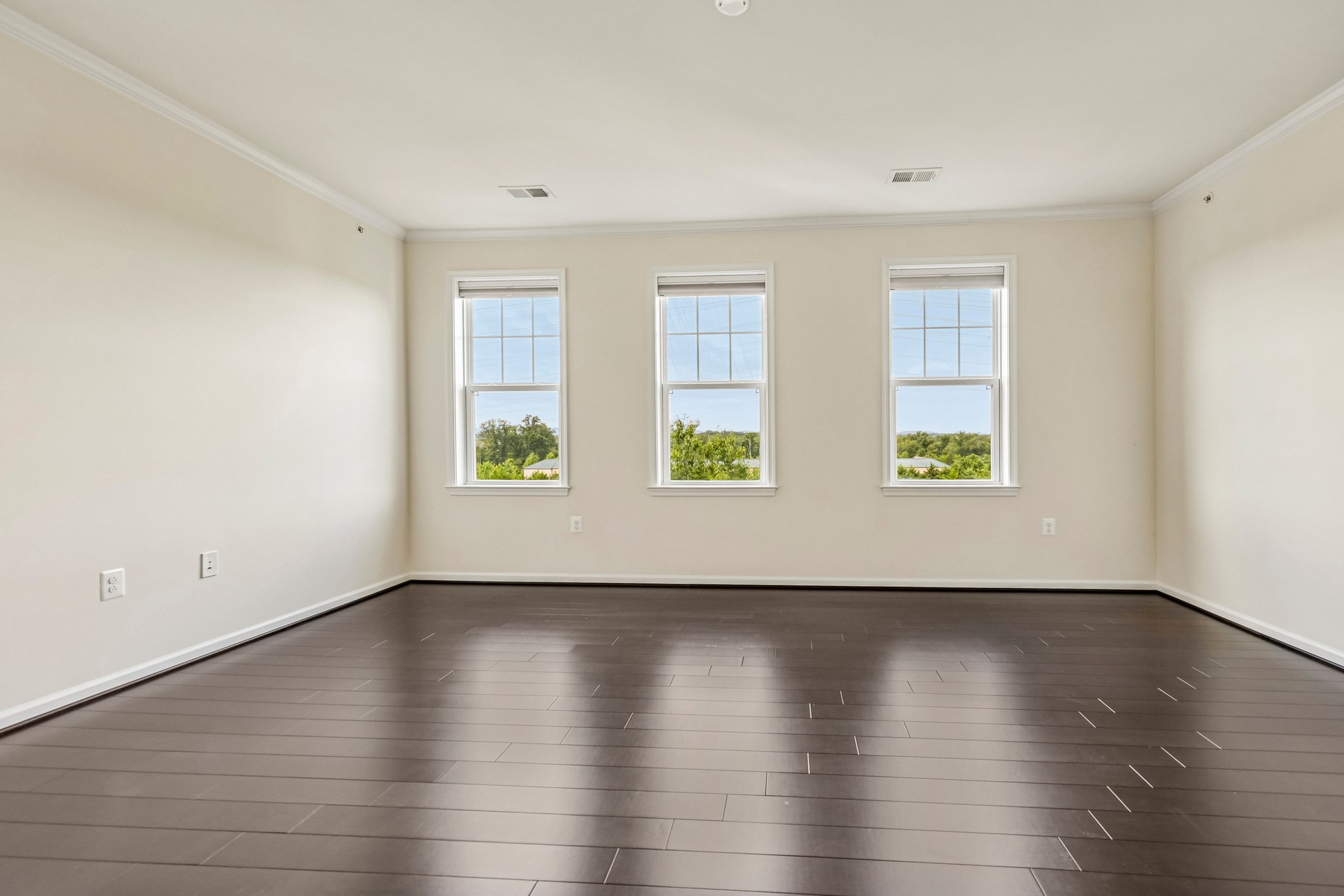 Windows with Custom Shades