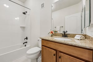 Hall/Guest Bath