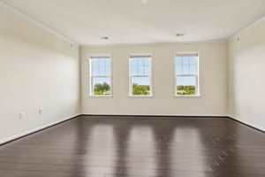 Windows with Custom Shades