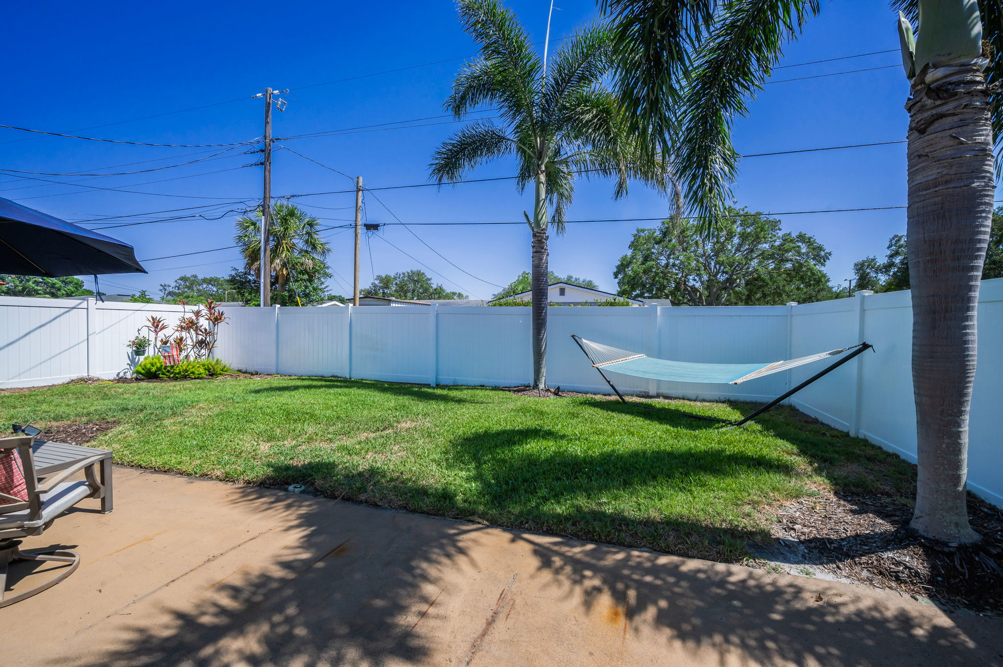 Backyard3