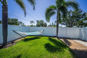 Backyard2