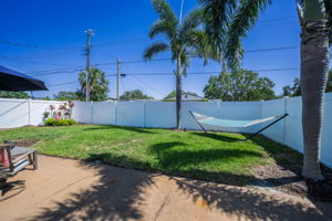 Backyard3