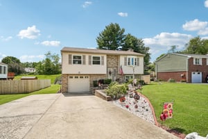 Fitch Ln-S2406-004.jpg