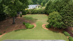 Image-102