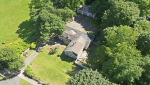  Photo 53