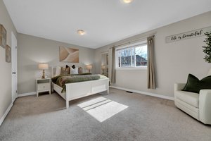  Photo 41
