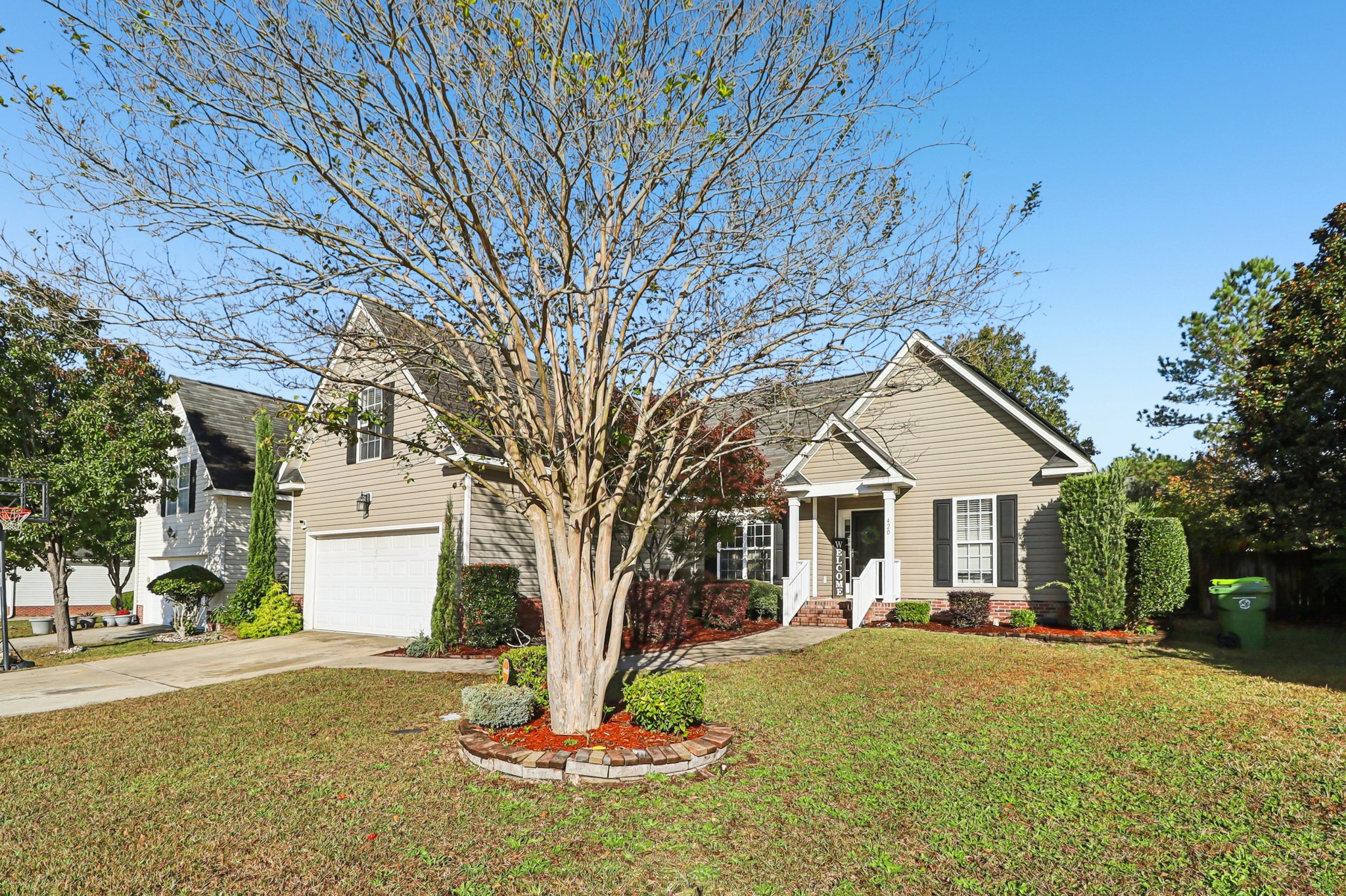 Apple Branch Ct-S3110-004.jpg