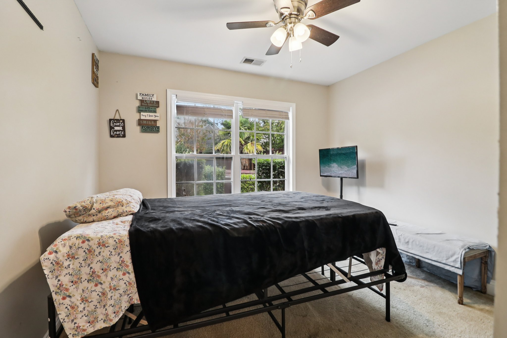 Apple Branch Ct-S3110-015.jpg