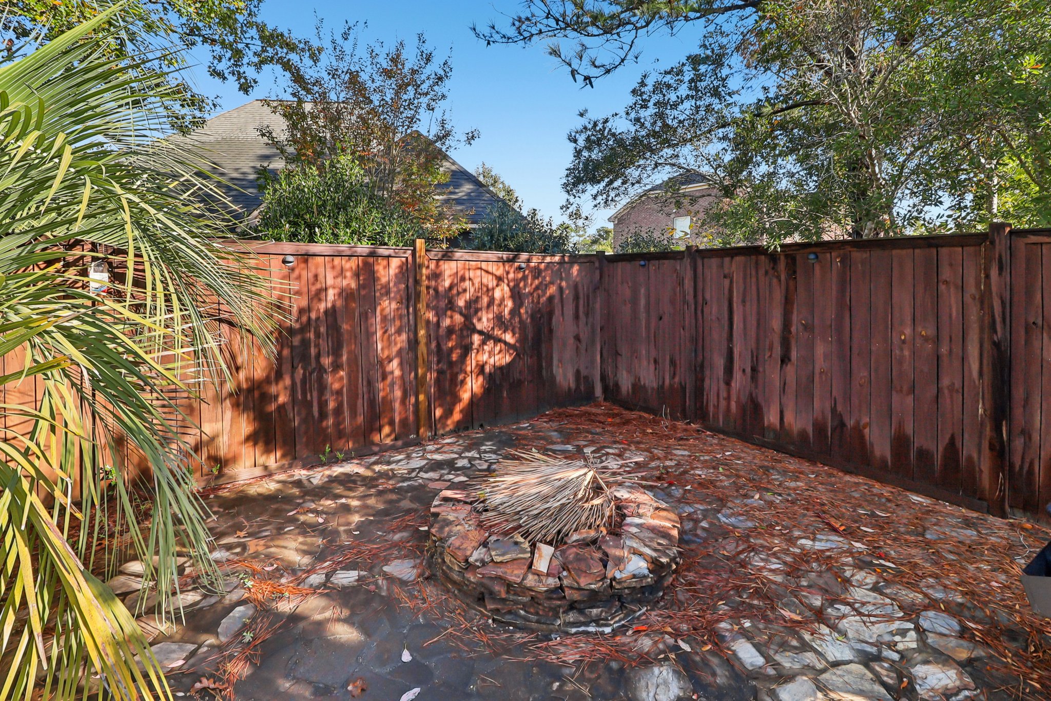 Apple Branch Ct-S3110-039.jpg