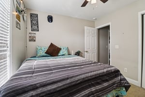 Apple Branch Ct-S3110-029.jpg