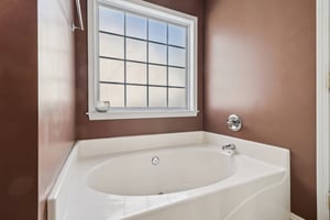 Apple Branch Ct-S3110-033.jpg