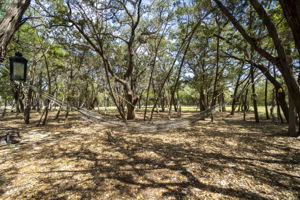 420 Burnett Ranch Rd, Wimberley, TX 78676, USA Photo 19