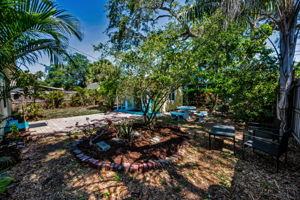 Backyard4(1)