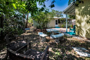 Backyard5(1)