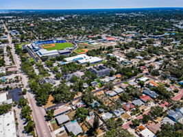 Aerial (6)