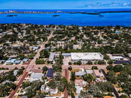 Aerial (12)