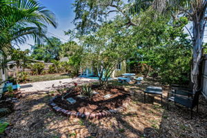 Backyard4(1)