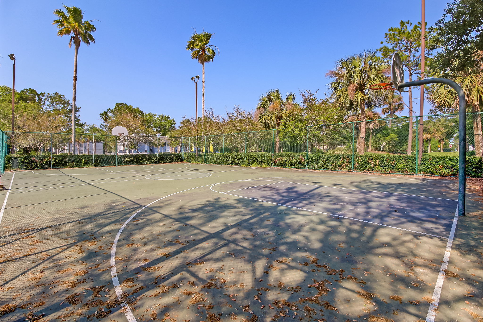 Basketball Courts