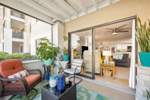 Covered, Screened Patio