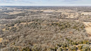 DJI_20250131112533_0049_D.jpg