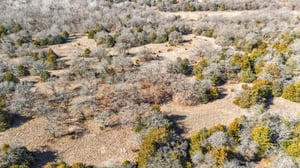 DJI_20250131112736_0055_D.jpg