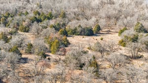 DJI_20250131112800_0058_D.jpg