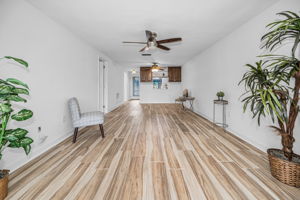 Living Room1