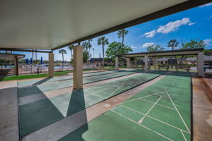 28-Shuffleboard