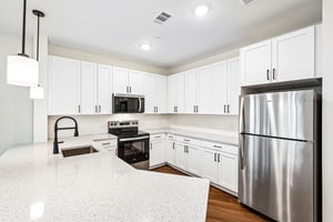 4200 Memorial Dr unit 2415-S0210-009.jpg