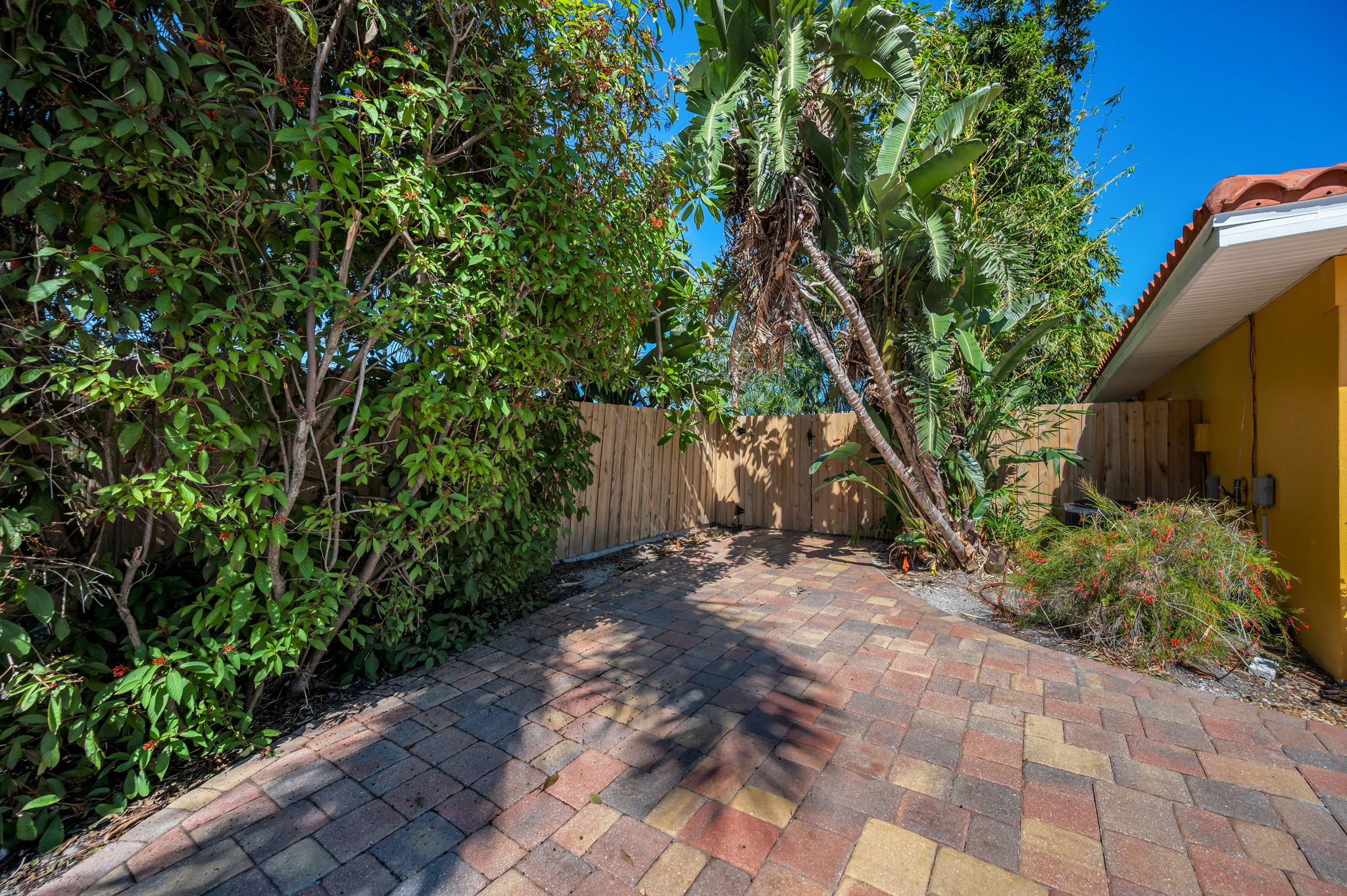 Backyard Entry