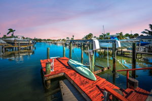 Dock1