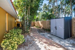Backyard4