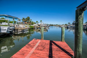 Dock3