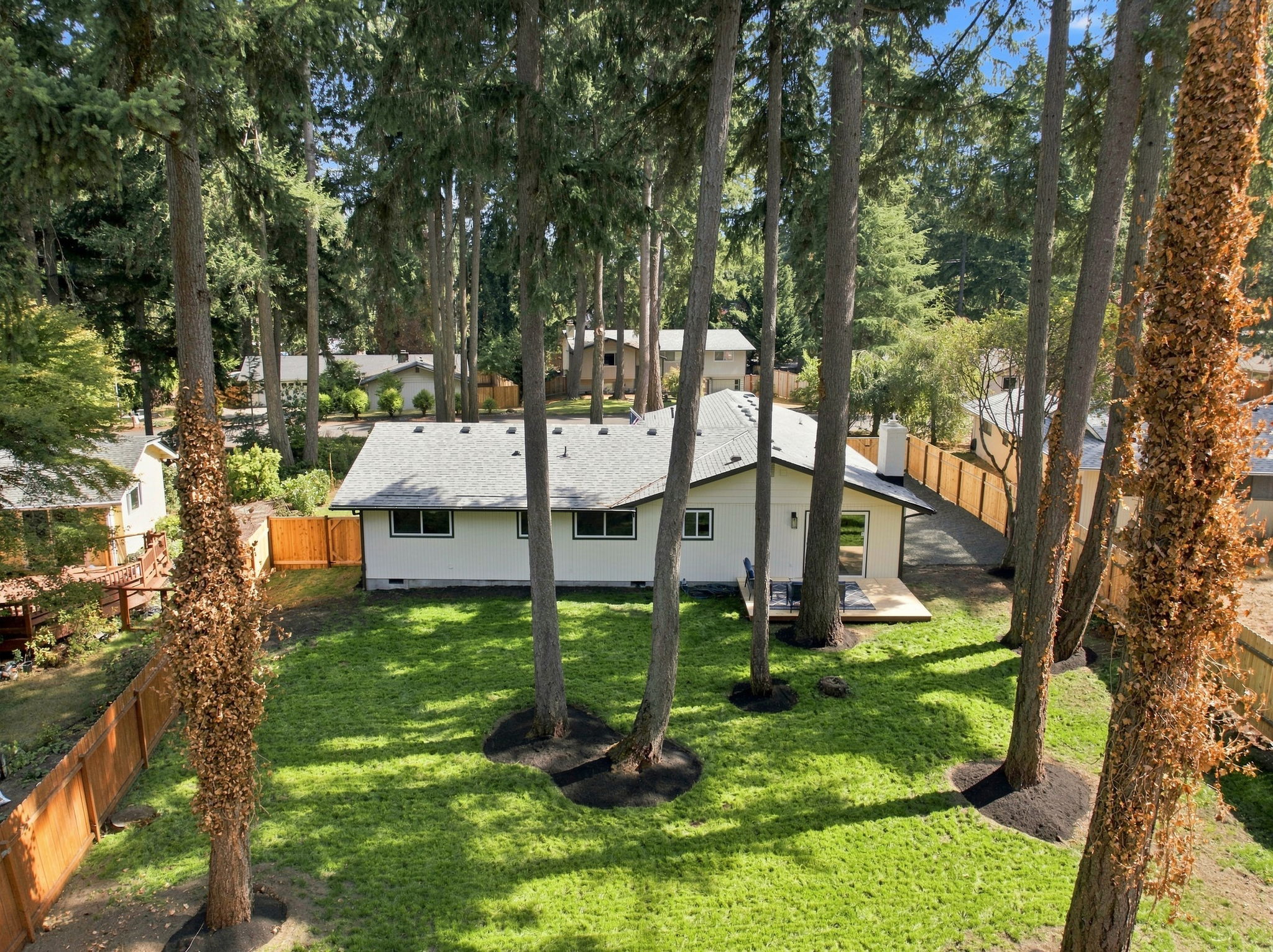  Photo 48