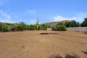  Photo 49