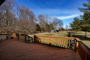  Photo 39