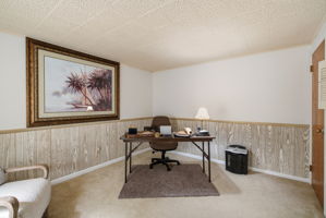 Lower Level Den/Office/Guest Room