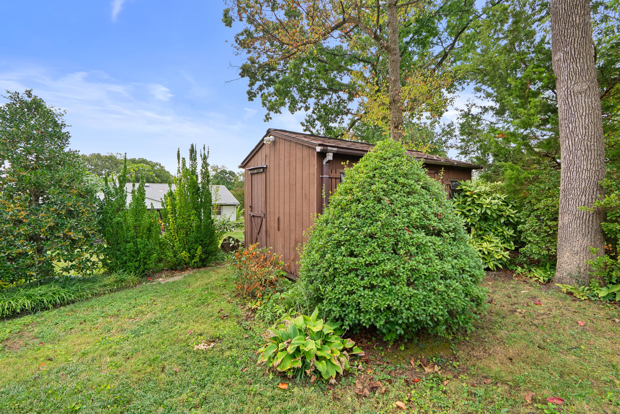 Shed
