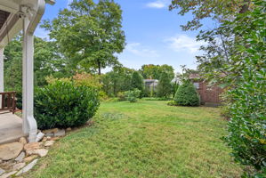 Rear Yard
