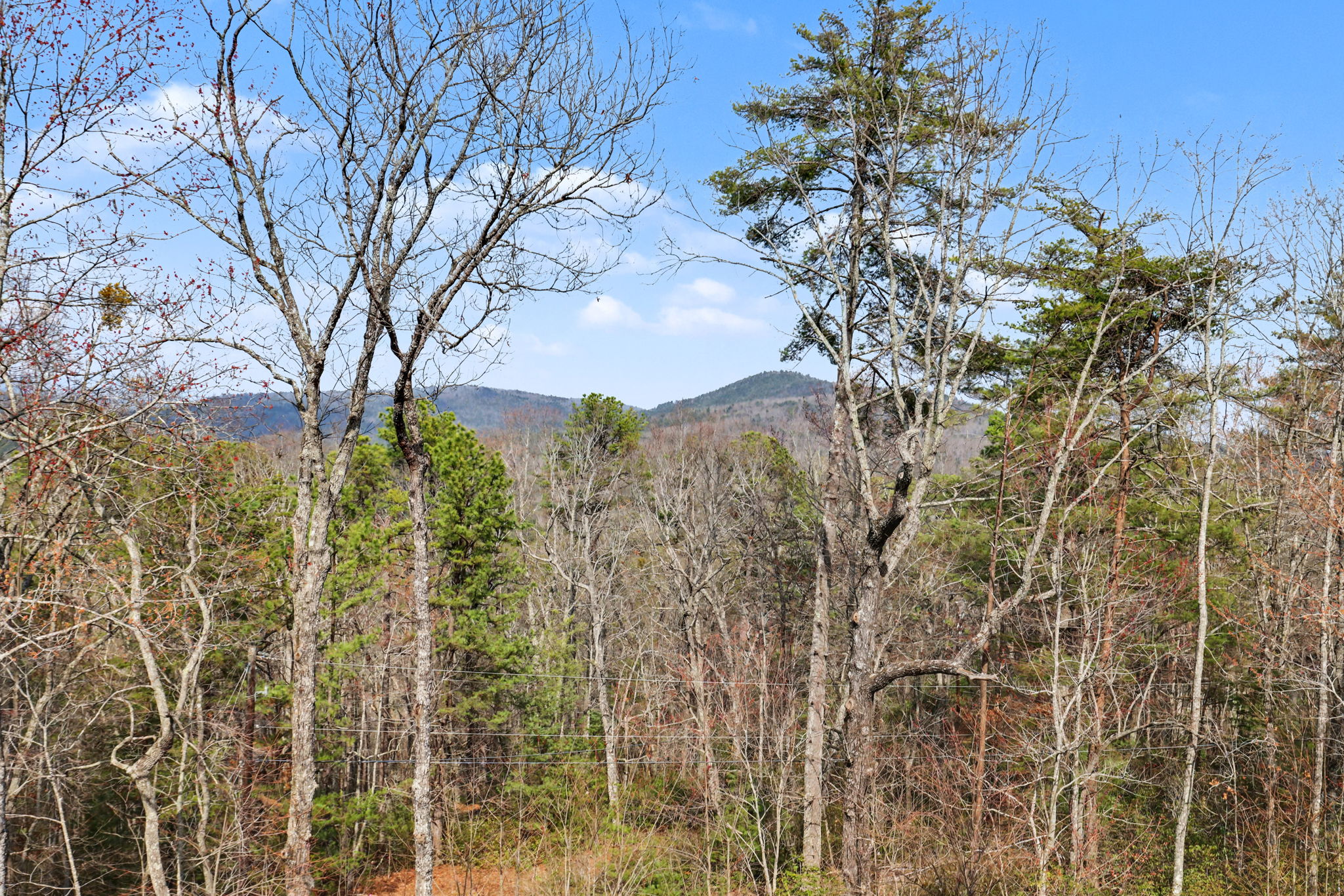 421 Hickory Nut Mountain Rd, Tallulah Falls, GA 30573, USA Photo 30