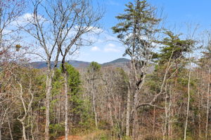 421 Hickory Nut Mountain Rd, Tallulah Falls, GA 30573, USA Photo 29