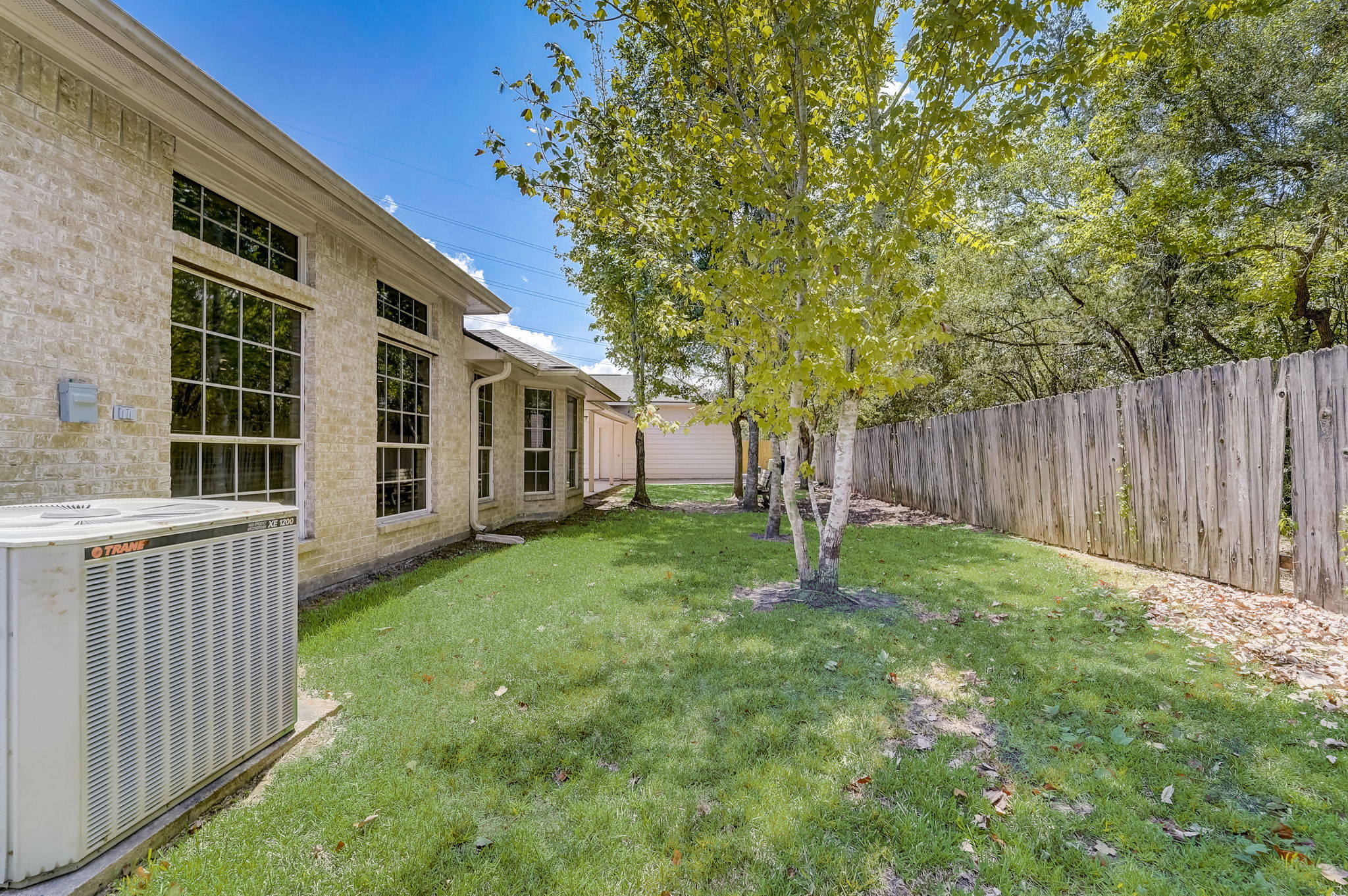 Meadows Forest Dr-044