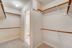 Meadows Forest Dr-030